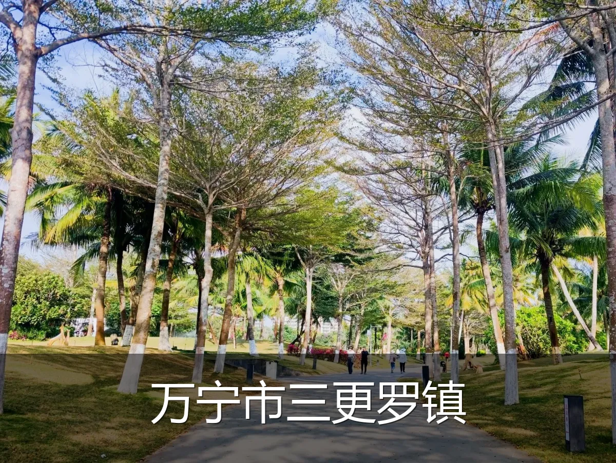 万宁市三更罗镇